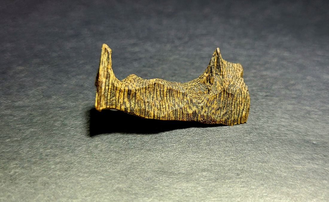 Dark resinous agarwood pieces